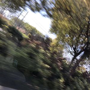 红色高跟鞋（烟嗓版）