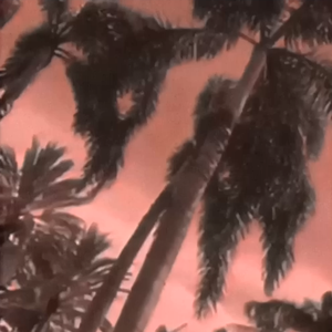 [sold]i bet you never even try to be you.