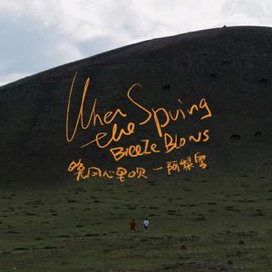 晚风心里吹 - 阿梨粤（DJ阿财 remix）