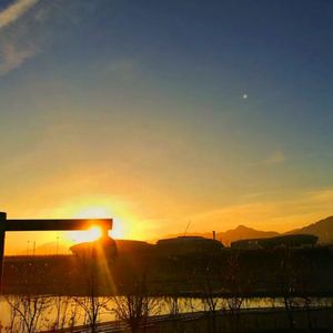 乡愁是一道看不见的伤