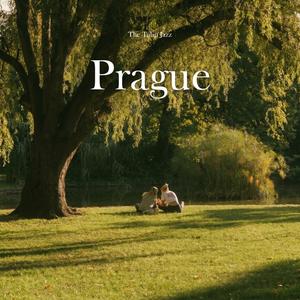 Twilight Over the Vltava