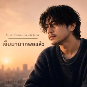 เจ็บมามากพอแล้ว
