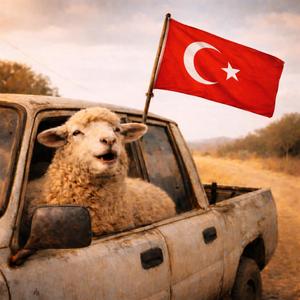 Pencereyi Aç (Mee)