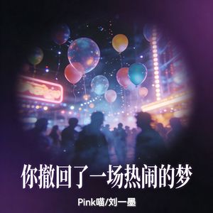 你撤回了一场热闹的梦