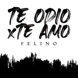 TE ODIO Y TE AMO