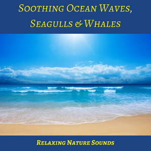 Soothing Ocean Waves, Seagulls & Whales (Relaxing Nature Sounds)