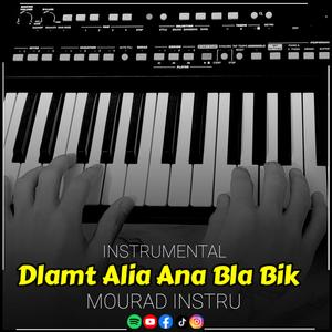 Dlamt Alia Ana Bla Bik