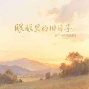 眼眶里的旧日子