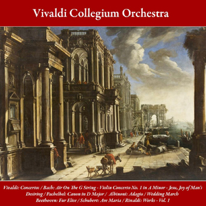 Violin Concerto No. 1 in A Minor, BWV 1041: III. Allegro Assai