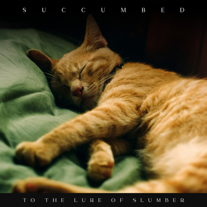 Free Reign to Explore