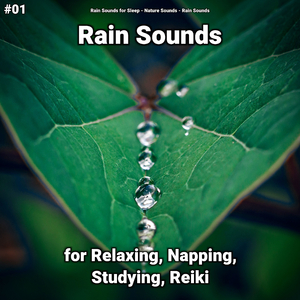 Rain to Help You Sleep