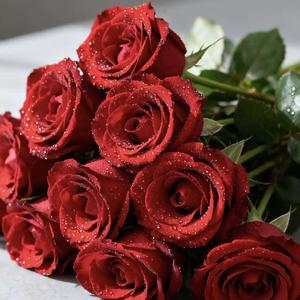 三生劫续今生缘（抖音热播）