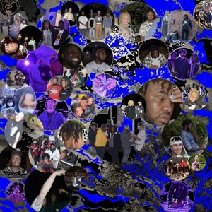 Toadstool (sporophore)