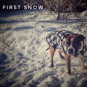 First Snow