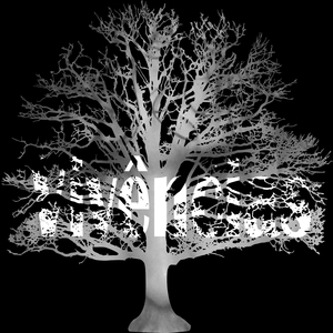 Engole o Choro (Vivências)