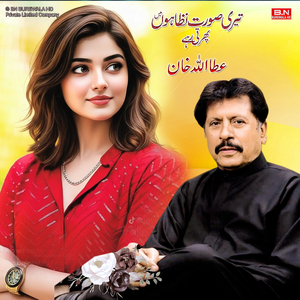 Teri Surat Nighaon Mein