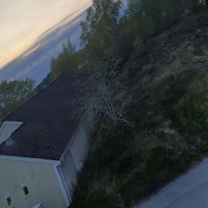 Lengter hjem