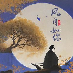 风月如你（1.2x降调版）