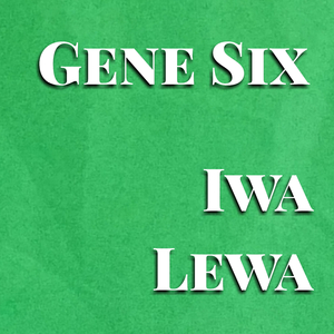 Iwa Lewa