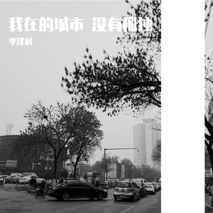 我在的城市 没有孤独