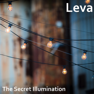 The Secret Illumination