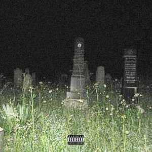 Traumatisierter Verstand