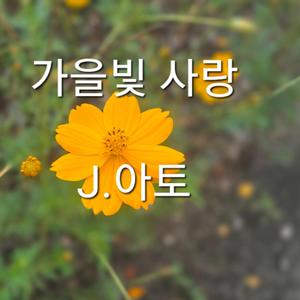 가을빛 사랑