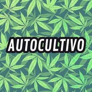 Autocultivo