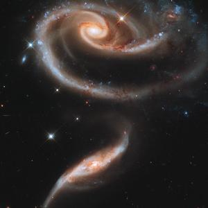 庆祝无意义——给二十六岁