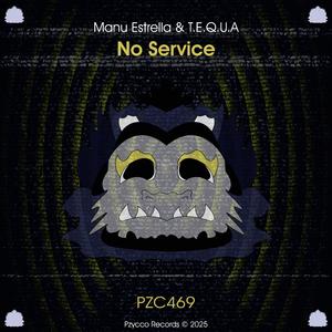 No Service