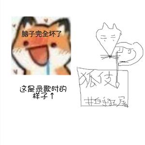 狐伎（一本正经版）