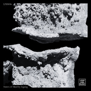 Mental Representations