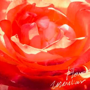 花 （prod by MEGA）