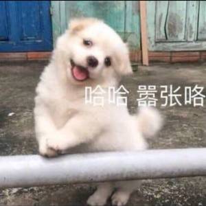 U1S1 FREESTYLE (Prod.GSG耀)