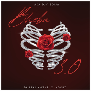 Bheba 3.0