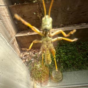 Your all I want but i still want more