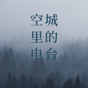 空城里的电台