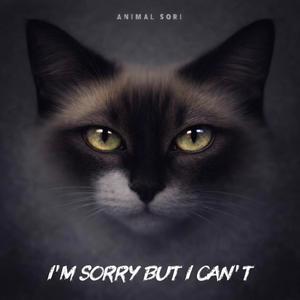 I'm Sorry but I Can't