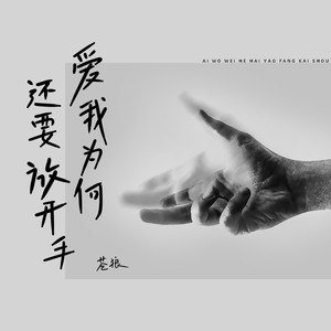 爱我为何还要放开手