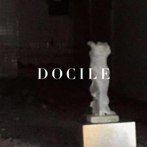 Docile