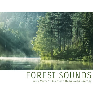 癒しのギターとα波効果 深い眠りに落ちる睡眠用ヒーリングbgm「セロトニン」で睡眠の質向上 (自律神経を整える睡眠用 森 鳥)