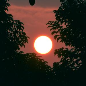 EHINGO Prod By August Wu