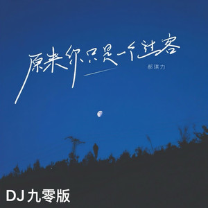 原来你只是一个过客 (DJ九零版)
