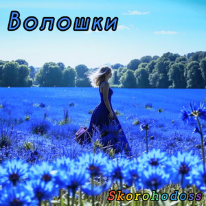 Волошки
