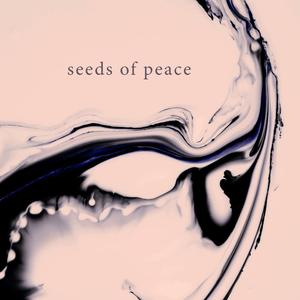 Essence (Meditation)