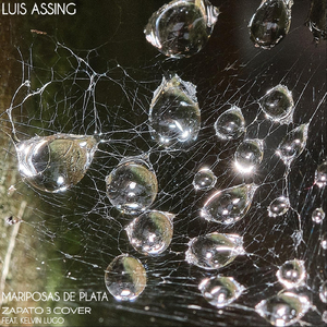 Mariposas De Plata (feat. Kelvin Lugo)