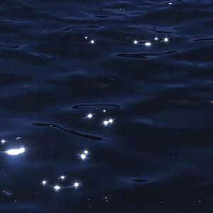 都市丽人生存报告