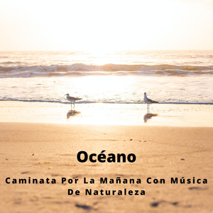 Sonidos De Olas Salpicando