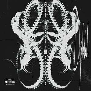 Dark (feat. MissSuicide)