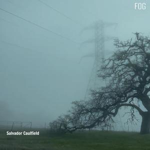 Fog